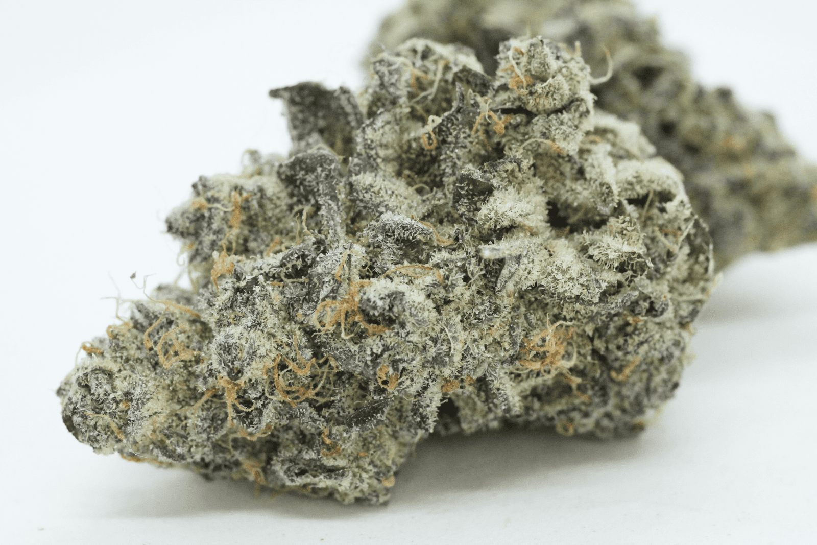 Ottawa Edibles Delivery